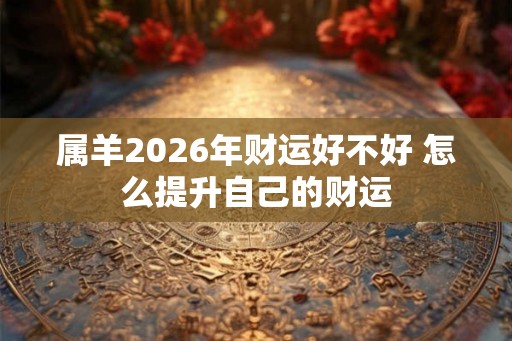 属羊2026年财运好不好 怎么提升自己的财运