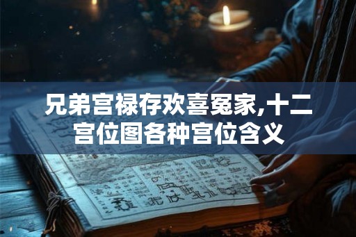 兄弟宫禄存欢喜冤家,十二宫位图各种宫位含义