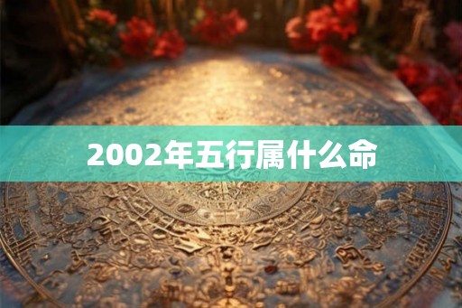 2002年五行属什么命 2002年五行属什么命
