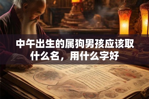 中午出生的属狗男孩应该取什么名，用什么字好