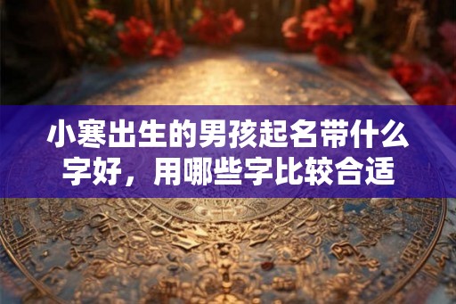 小寒出生的男孩起名带什么字好，用哪些字比较合适