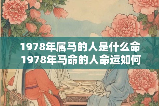 1978年属马的人是什么命 1978年马命的人命运如何