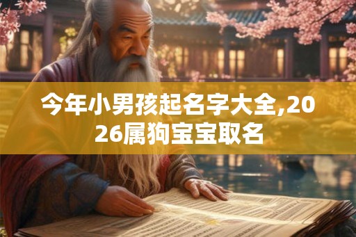 今年小男孩起名字大全,2026属狗宝宝取名