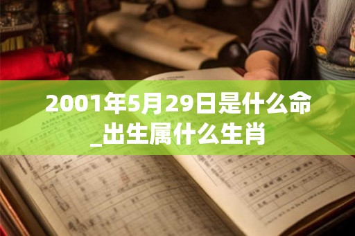2001年5月29日是什么命_出生属什么生肖