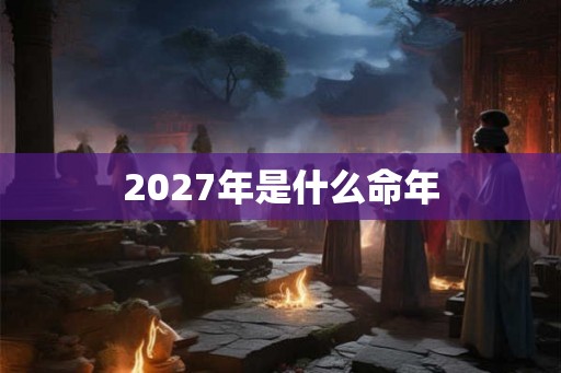 2027年是什么命年