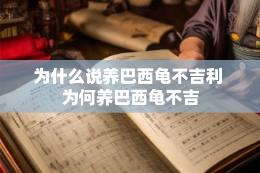 为什么说养巴西龟不吉利 为何养巴西龟不吉