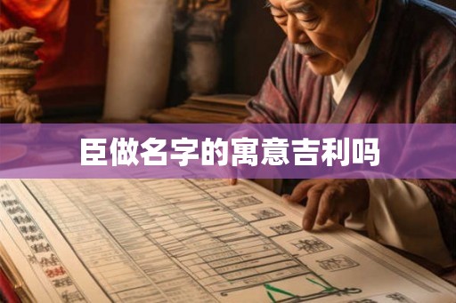 臣做名字的寓意吉利吗