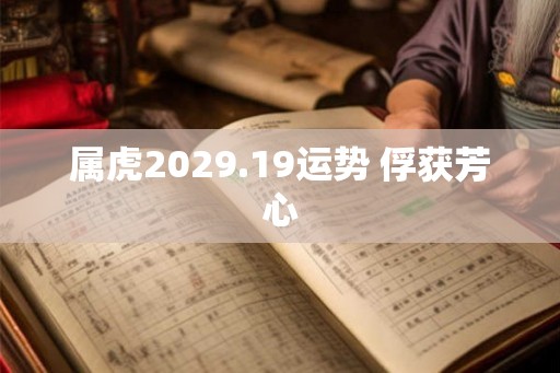 属虎2029.19运势 俘获芳心
