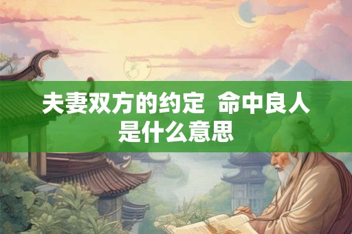 夫妻双方的约定  命中良人是什么意思