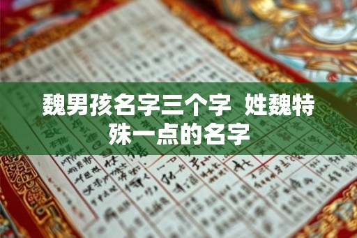 魏男孩名字三个字  姓魏特殊一点的名字