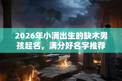 2026年小满出生的缺木男孩起名，满分好名字推荐
