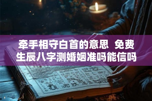 牵手相守白首的意思  免费生辰八字测婚姻准吗能信吗