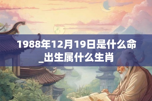 1988年12月19日是什么命_出生属什么生肖
