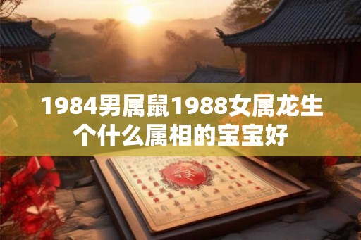1984男属鼠1988女属龙生个什么属相的宝宝好