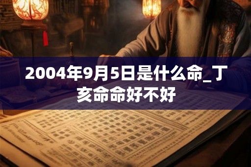 2004年9月5日是什么命_丁亥命命好不好
