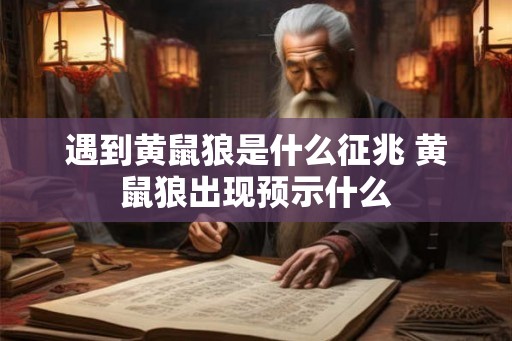 遇到黄鼠狼是什么征兆 黄鼠狼出现预示什么