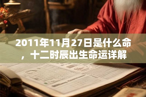 2011年11月27日是什么命,十二时辰出生命运详解 2011年11月27日是什么命,十二时辰出生命运详解