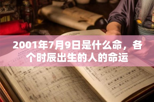 2001年7月9日是什么命，各个时辰出生的人的命运