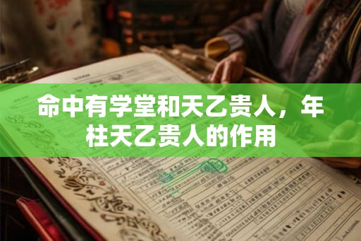 命中有学堂和天乙贵人，年柱天乙贵人的作用