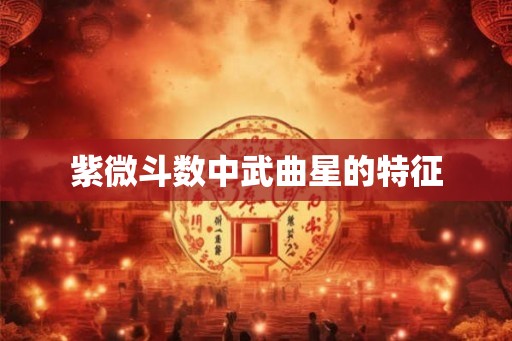 紫微斗数中武曲星的特征