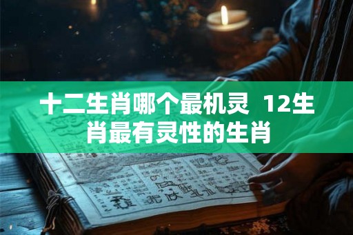 十二生肖哪个最机灵  12生肖最有灵性的生肖