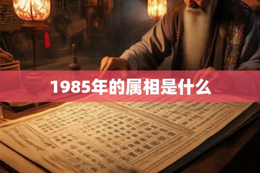 1985年的属相是什么