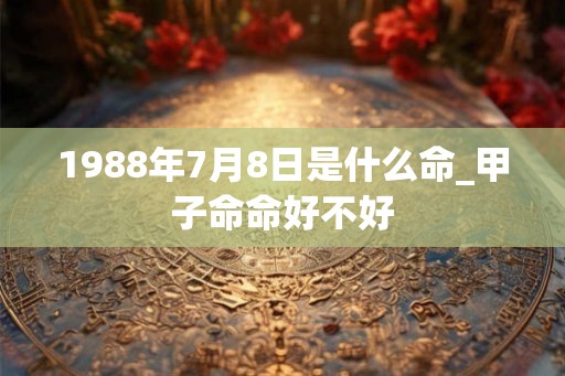 1988年7月8日是什么命_甲子命命好不好