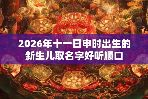 2026年十一日申时出生的新生儿取名字好听顺口