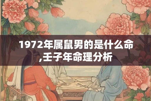 1972年属鼠男的是什么命,壬子年命理分析
