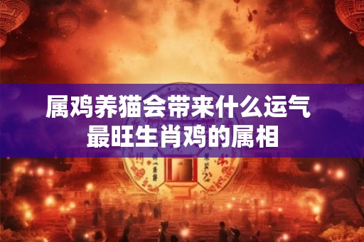 属鸡养猫会带来什么运气 最旺生肖鸡的属相