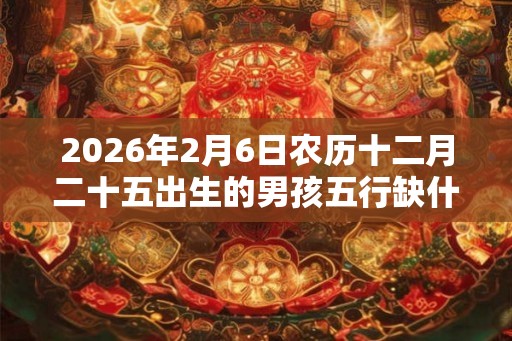2026年2月6日农历十二月二十五出生的男孩五行缺什么