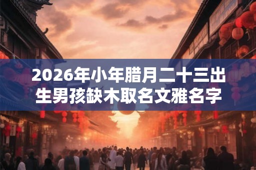 2026年小年腊月二十三出生男孩缺木取名文雅名字
