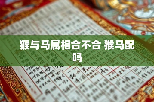 猴与马属相合不合 猴马配吗