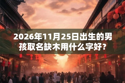 2026年11月25日出生的男孩取名缺木用什么字好？