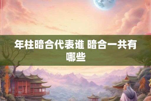 年柱暗合代表谁 暗合一共有哪些
