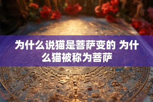 为什么说猫是菩萨变的 为什么猫被称为菩萨 为什么说猫是菩萨变的 为什么猫被称为菩萨