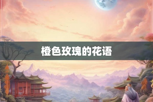 橙色玫瑰的花语