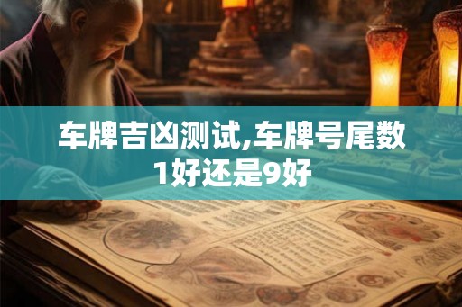 车牌吉凶测试,车牌号尾数1好还是9好