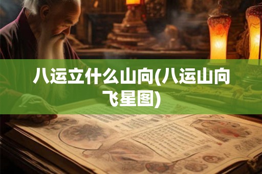 八运立什么山向(八运山向飞星图)