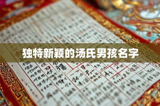 独特新颖的汤氏男孩名字