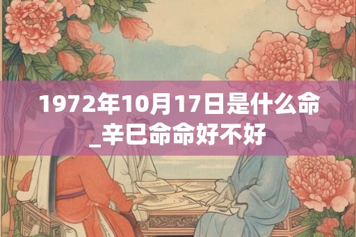 1972年10月17日是什么命_辛巳命命好不好