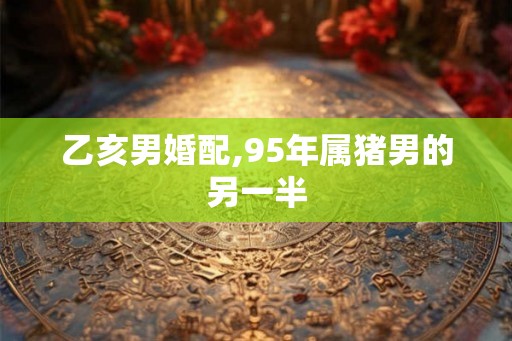 乙亥男婚配,95年属猪男的另一半