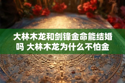 大林木龙和剑锋金命能结婚吗 大林木龙为什么不怕金