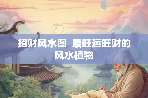 招财风水图  最旺运旺财的风水植物