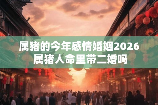 属猪的今年感情婚姻2026 属猪人命里带二婚吗