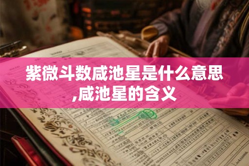 紫微斗数咸池星是什么意思,咸池星的含义