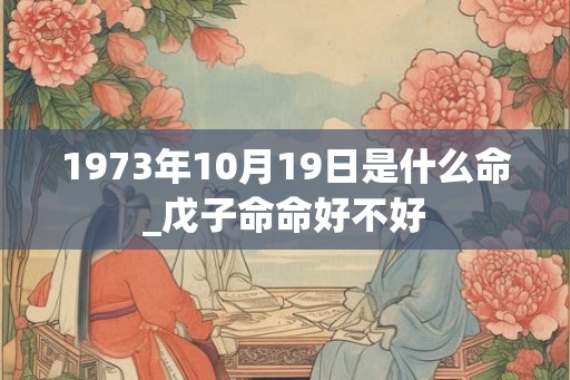 1973年10月19日是什么命_戊子命命好不好