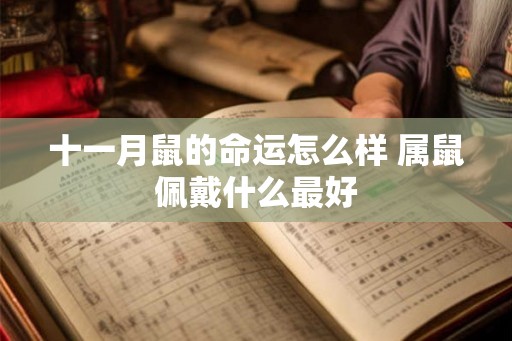 十一月鼠的命运怎么样 属鼠佩戴什么最好