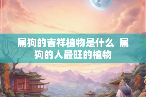 属狗的吉祥植物是什么  属狗的人最旺的植物