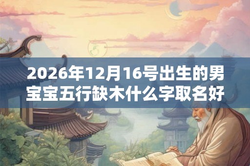 2026年12月16号出生的男宝宝五行缺木什么字取名好